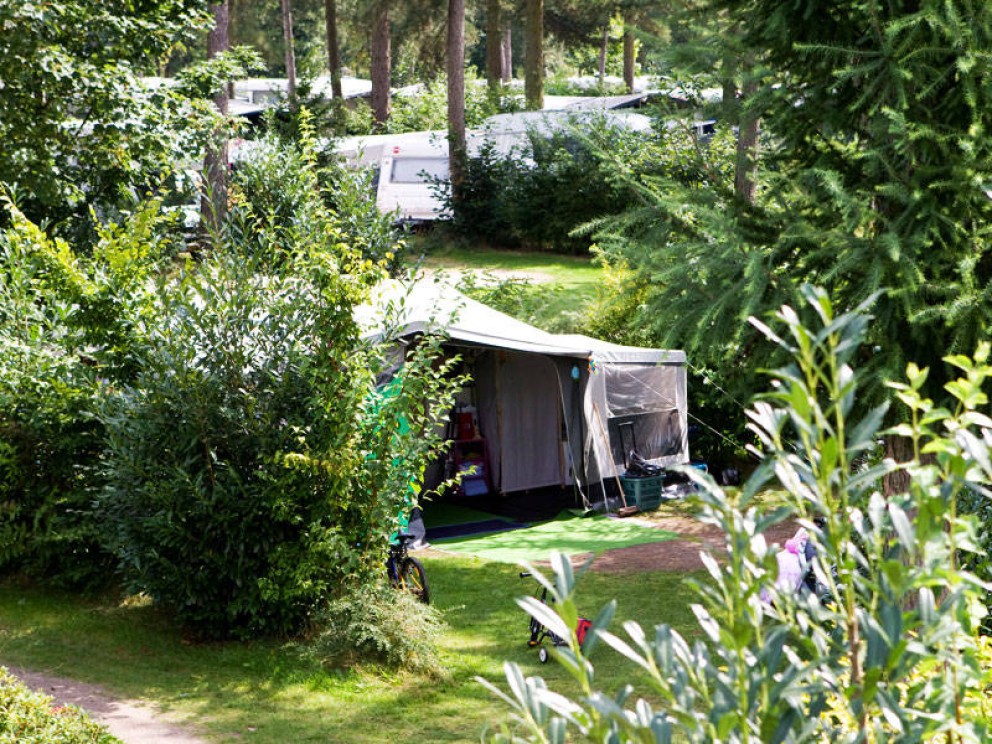 fotos_comfort-kampeerplaats-kamperen-recreatiepark-de-achterste-hoef-03_lightbox.jpg